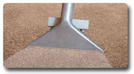 carpet steam cleaning